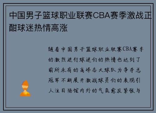 中国男子篮球职业联赛CBA赛季激战正酣球迷热情高涨